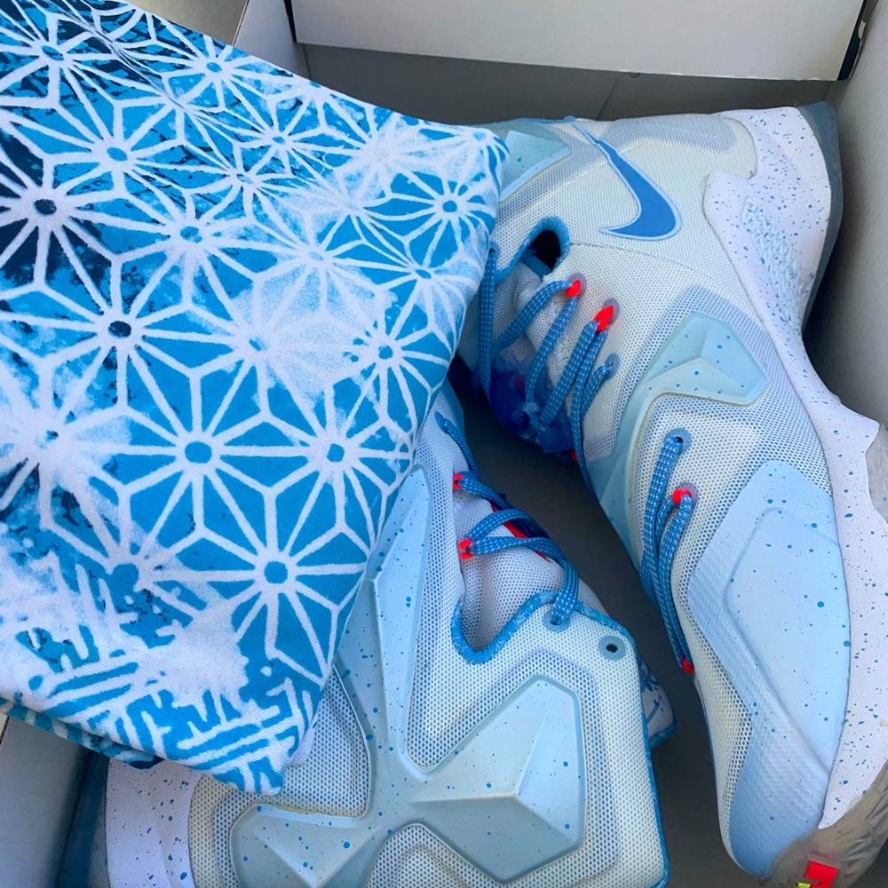 Lebron Shoe
